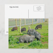 ピギーバックライド ポストカード (正面/裏面)