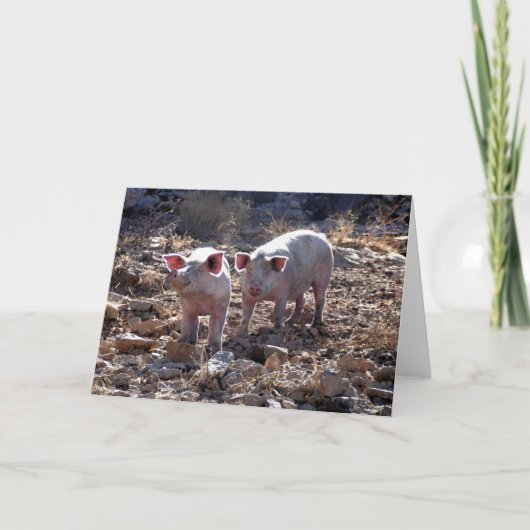 ピギー カード (正面)