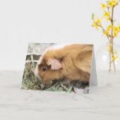 ピギー カード (黄色い花)