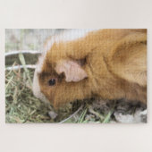 ピギー ジグソーパズル (横)