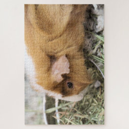 ピギー ジグソーパズル