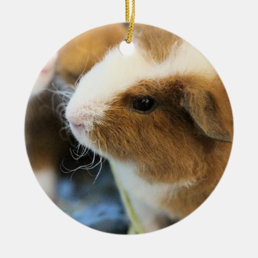 ピギー セラミックオーナメント (正面)