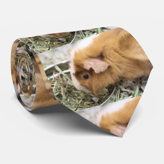 ピギー ネクタイ (ロール)