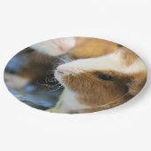 ピギー ペーパープレート (アングル)