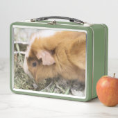 ピギー メタルランチボックス (インサイチュ)