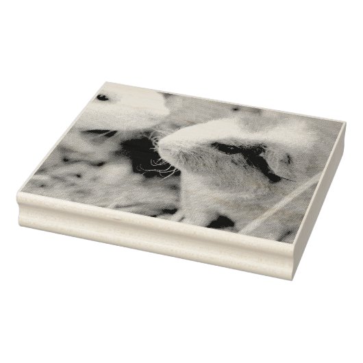 ピギー ラバースタンプ (スタンプ)