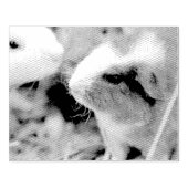 ピギー ラバースタンプ (インプリント)