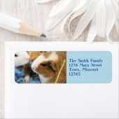 ピギー ラベル (インサイチュ)