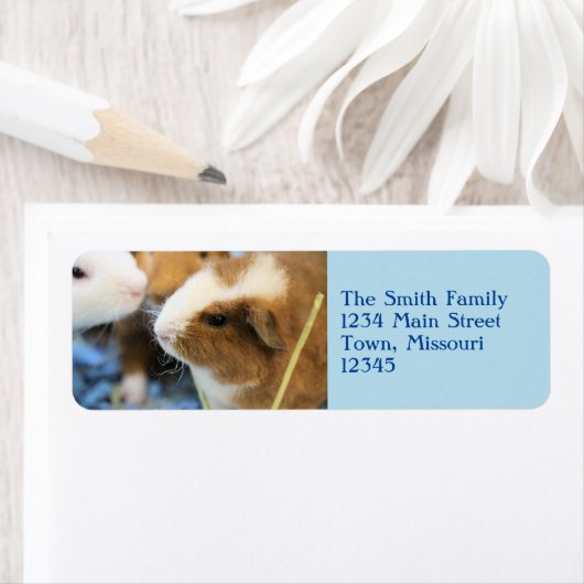 ピギー ラベル (インサイチュ)