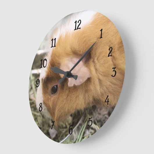 ピギー ラージ壁時計 (傾斜)