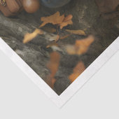 ピクシーオレンジハット鏡ティッシュペーパー 薄葉紙 (詳細)