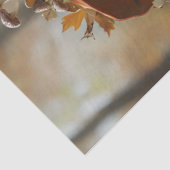 ピクシーオレンジハッ離れト向き組織紙 薄葉紙 (詳細)