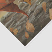 ピクシーオレンジ右向き帽子ティッシュペーパー 薄葉紙 (詳細)