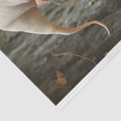 ピクシーベージュハット鏡右向きティッシュペーパー 薄葉紙 (詳細)