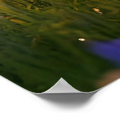 ピクシーロボットバレリーナ踊りインザワイルドフラワーズ ポスター (角)