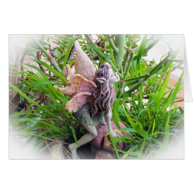 ピクシー (正面横)