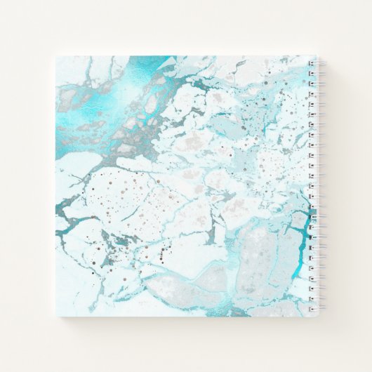 ピクスデジンズアクアブルーマーブルベビーの最初 ノートブック (裏面)