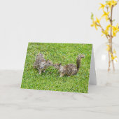 ピクセルアート – 2つのリス カード (黄色い花)