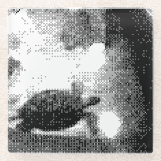 ピクセル化したカメ ガラスコースター (正面)