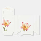 ピクセル開花トリオ フェイバーボックス (見開き)