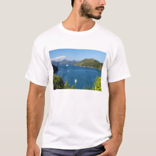 ピクトンハーバー、マルボロサウンズ、南 Tシャツ