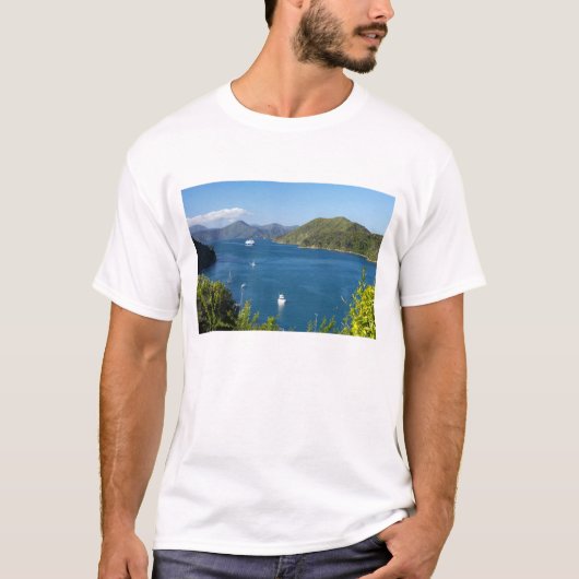 ピクトンハーバー、マルボロサウンズ、南 Tシャツ (正面)