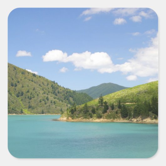 ピクトン、ニュージーランド。北の間のゲートウェイ スクエアシール (正面)