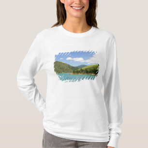 ピクトン、ニュージーランド 北島と南島の間の玄関口 Tシャツ