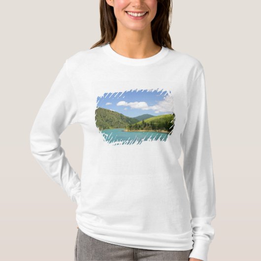 ピクトン、ニュージーランド 北島と南島の間の玄関口 Tシャツ (正面)