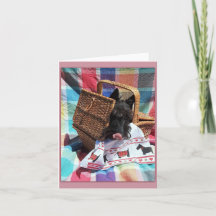 ピクニックおもしろい