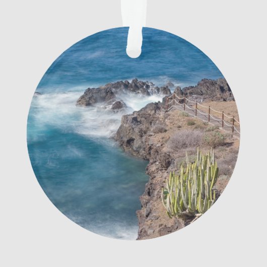 ピクニックサイトエルザウザル オーナメント (裏面)