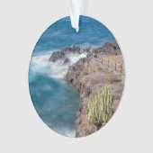 ピクニックサイトエルザウザル オーナメント (正面)