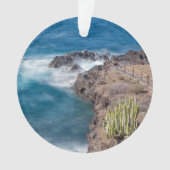 ピクニックサイトエルザウザル オーナメント (正面)