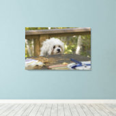 ピクニックテーブルの犬 キャンバスプリント (インサイチュ (ウッドフロア))