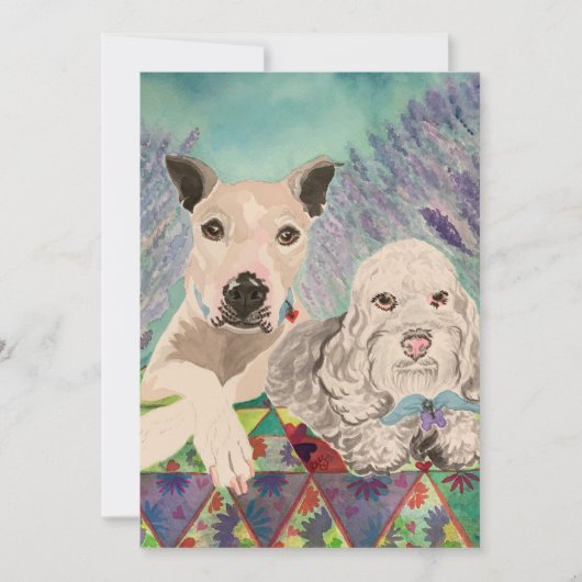 ピクニックドッグ セーブザデート (正面)