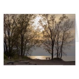 ピクニックビーチ