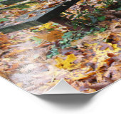 ピクニックベンチ19インチx 13インチ写真の拡大 フォトプリント            (角)