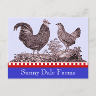 ピクニック、ファーマーズマーケット、Bのための鶏の招待状 インビテーションポストカード