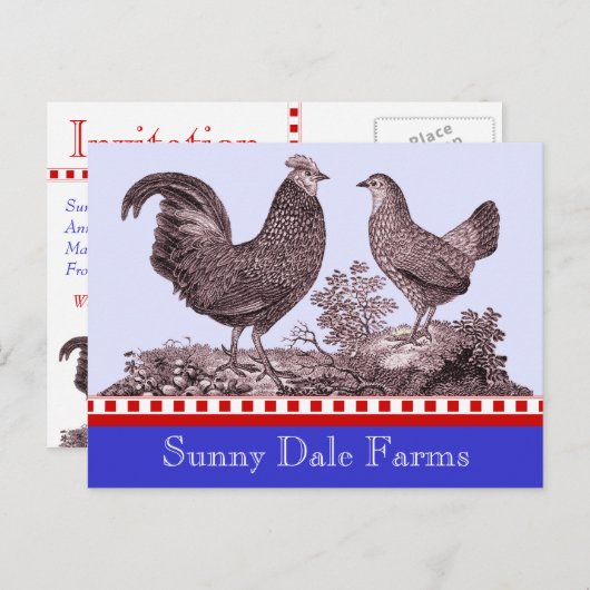 ピクニック、ファーマーズマーケット、Bのための鶏の招待状 インビテーションポストカード (正面/裏面)