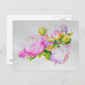 ピクラシックックエレガントピンクの白い牡丹フローラ水色 ポストカード (正面/裏面)