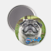 ピクルス磁石 マグネット (正面/裏面)