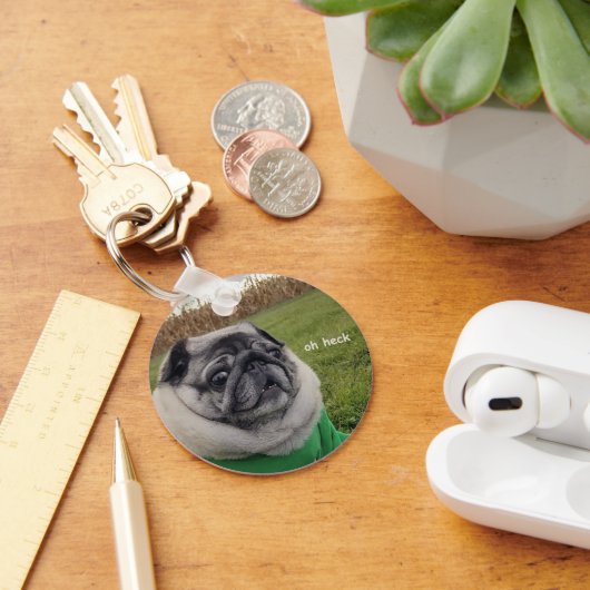 ピクルヘックキーチェーン キーホルダー (デスク)