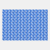 ピクルボールパドル、オレンジ色のピックルボールボール、ブルー ラッピングペーパーシート (正面)