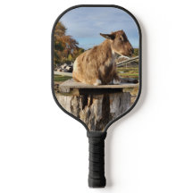 ピクルボールパドル「ヤギ」