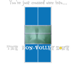 ピクルボールユーモア、ノンボレーゾーン Tシャツ