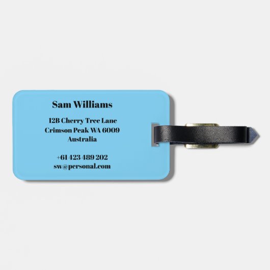 ピクルボール ラゲッジタグ (裏面横)