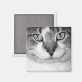 ピクルマグネット マグネット (正面/裏面)