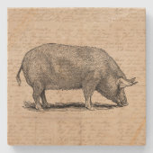 ピグイラストレーションアンティークアートスクリプト紙スタイル ストーンコースター (正面)