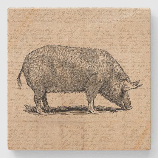 ピグイラストレーションアンティークアートスクリプト紙スタイル ストーンコースター (正面)