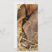 ピグカード (正面)